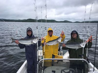 Beaver Lake Striper Guides | 4HRS Lake Fishing